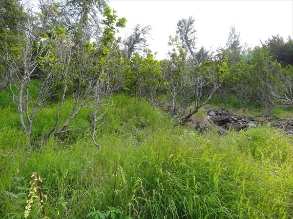 Охотское Море 36